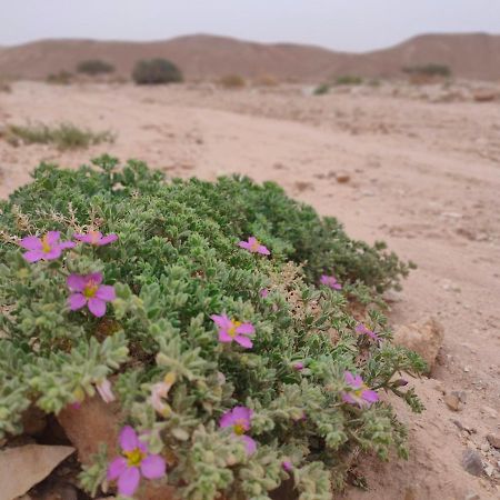 Desert Path Be'er Ora エクステリア 写真