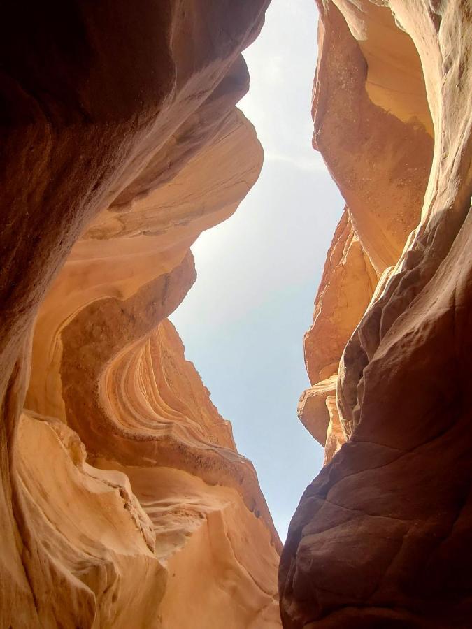 Desert Path Be'er Ora エクステリア 写真