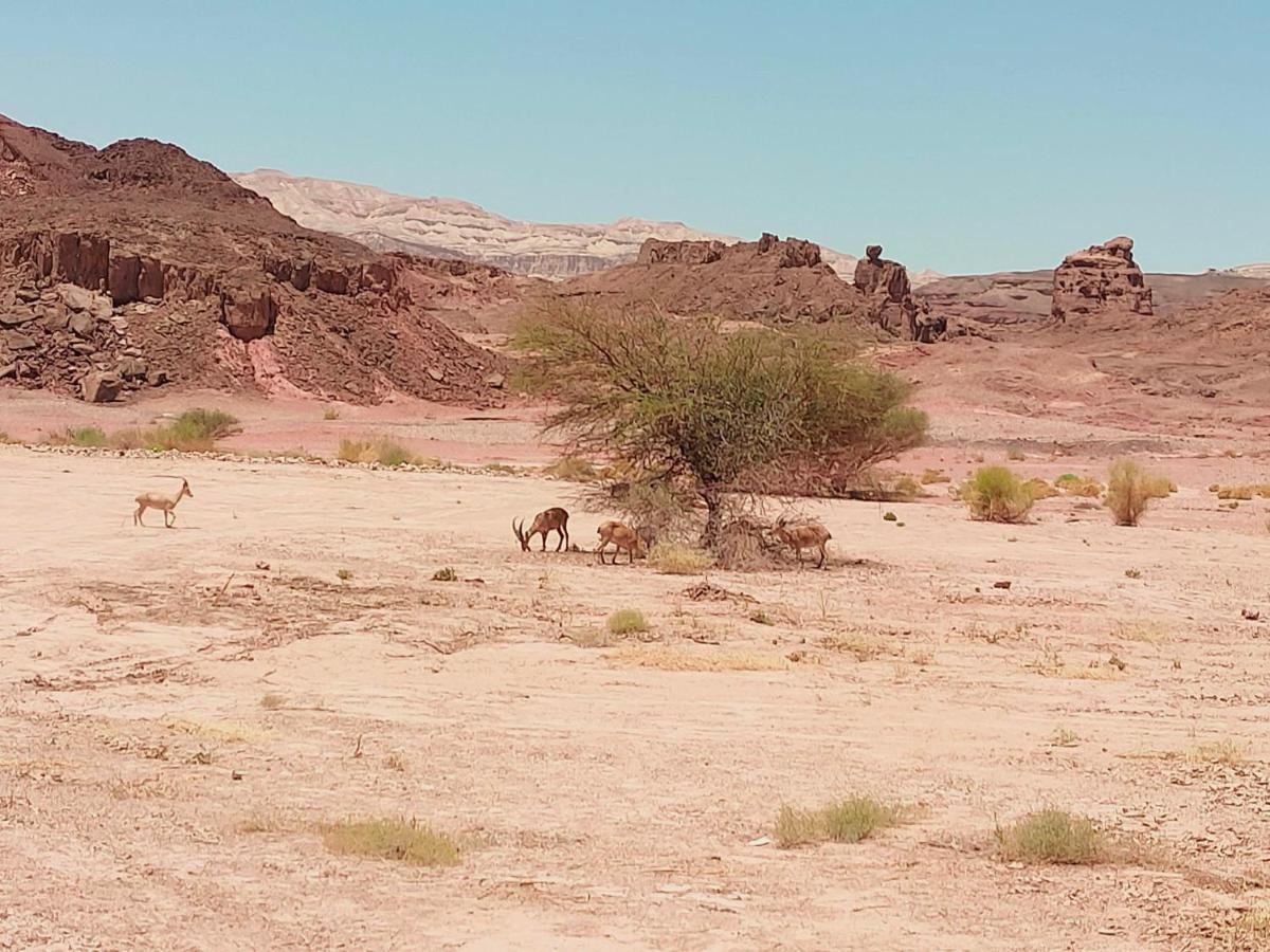 Desert Path Be'er Ora エクステリア 写真
